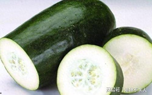 浙药吃瓜,揭秘药企背后的那些事儿