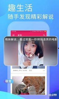 小猫吃瓜app,揭秘网络热点的趣味解读与深度剖析