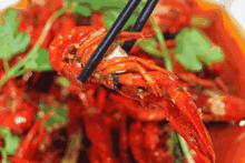 吃龙虾看吃瓜,一场味蕾与娱乐的盛宴