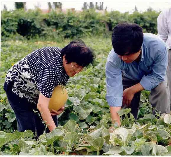 吉伊吃瓜头像,揭秘网络红人的魅力瞬间