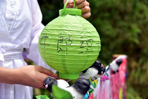 高密七夕吃瓜,瓜果飘香，甜蜜共享