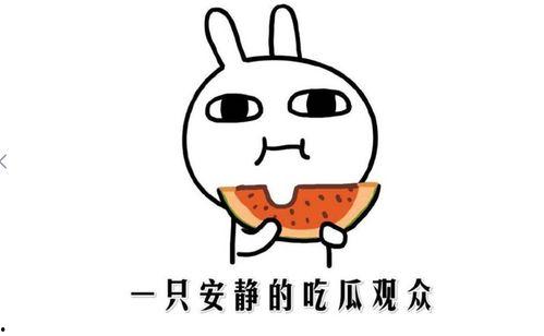 吃瓜内涵图片,一张图看懂网络热图背后的故事