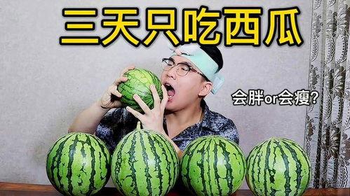 减肥期间可以吃瓜吗,瓜类食物的适宜选择与食用指南