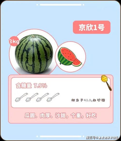 推荐吃瓜指南,解锁夏日消暑新姿势