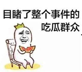 带你吃瓜胆小勿进,胆小勿进的神秘吃瓜世界